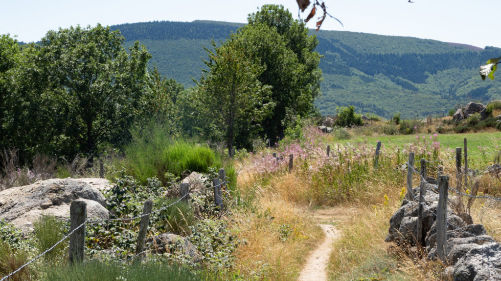 Parc National des Cévennes