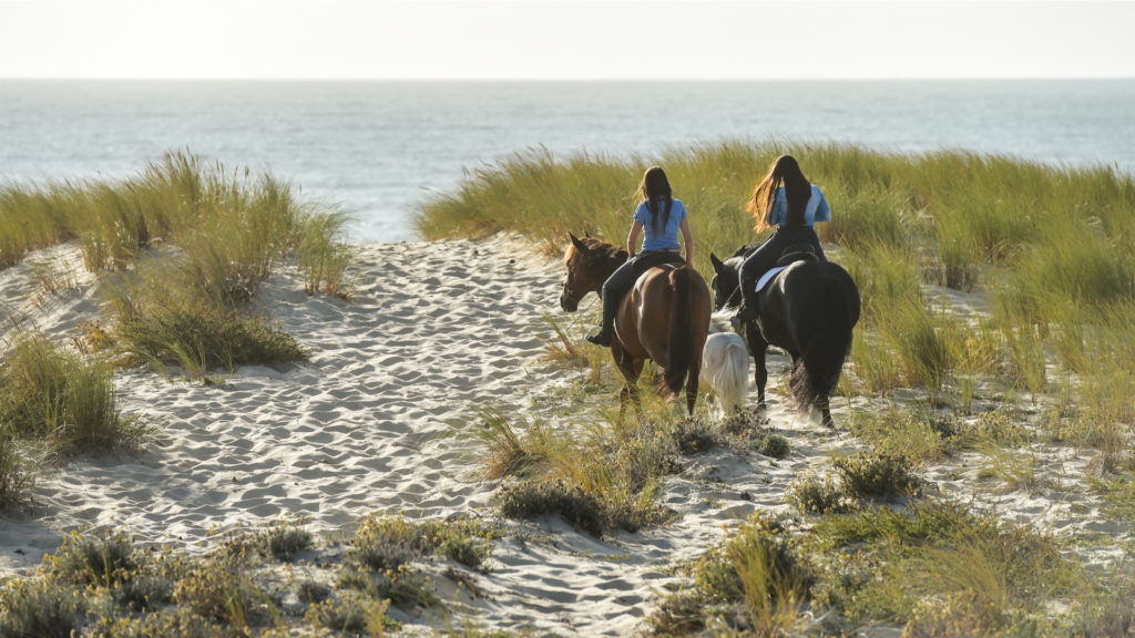Cheval et littoral Atlantique