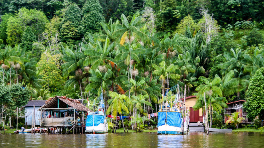 Parc National de la Guyane