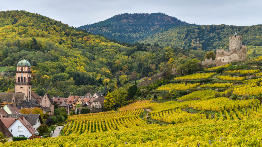 Kaysersberg sur la route des vins d'Alsac