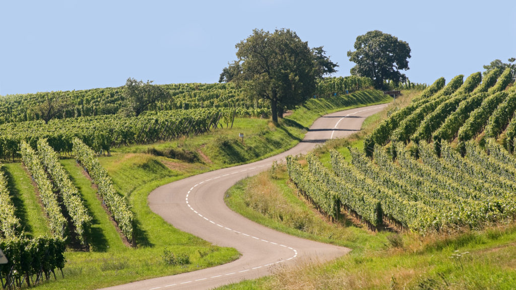 Sur la rout des vins d'Alsace