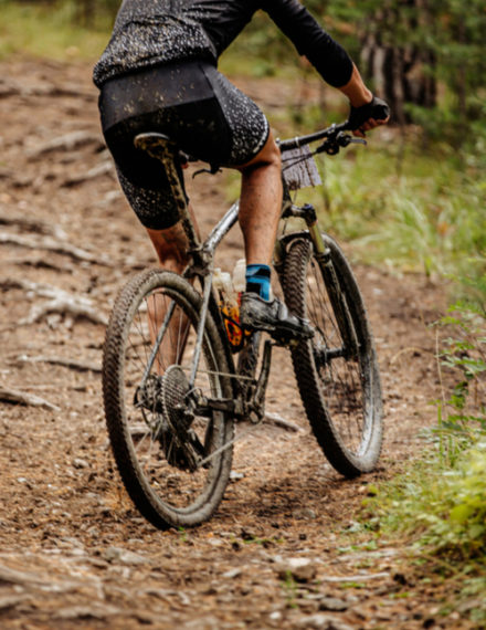 Championnats de France de VTT