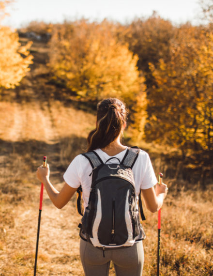 Marche nordique dans une forêt d'automne