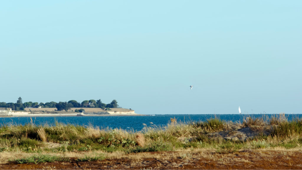 Plage de Rivedoux sur l'Île de Ré