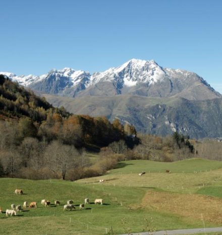 high pyrenees