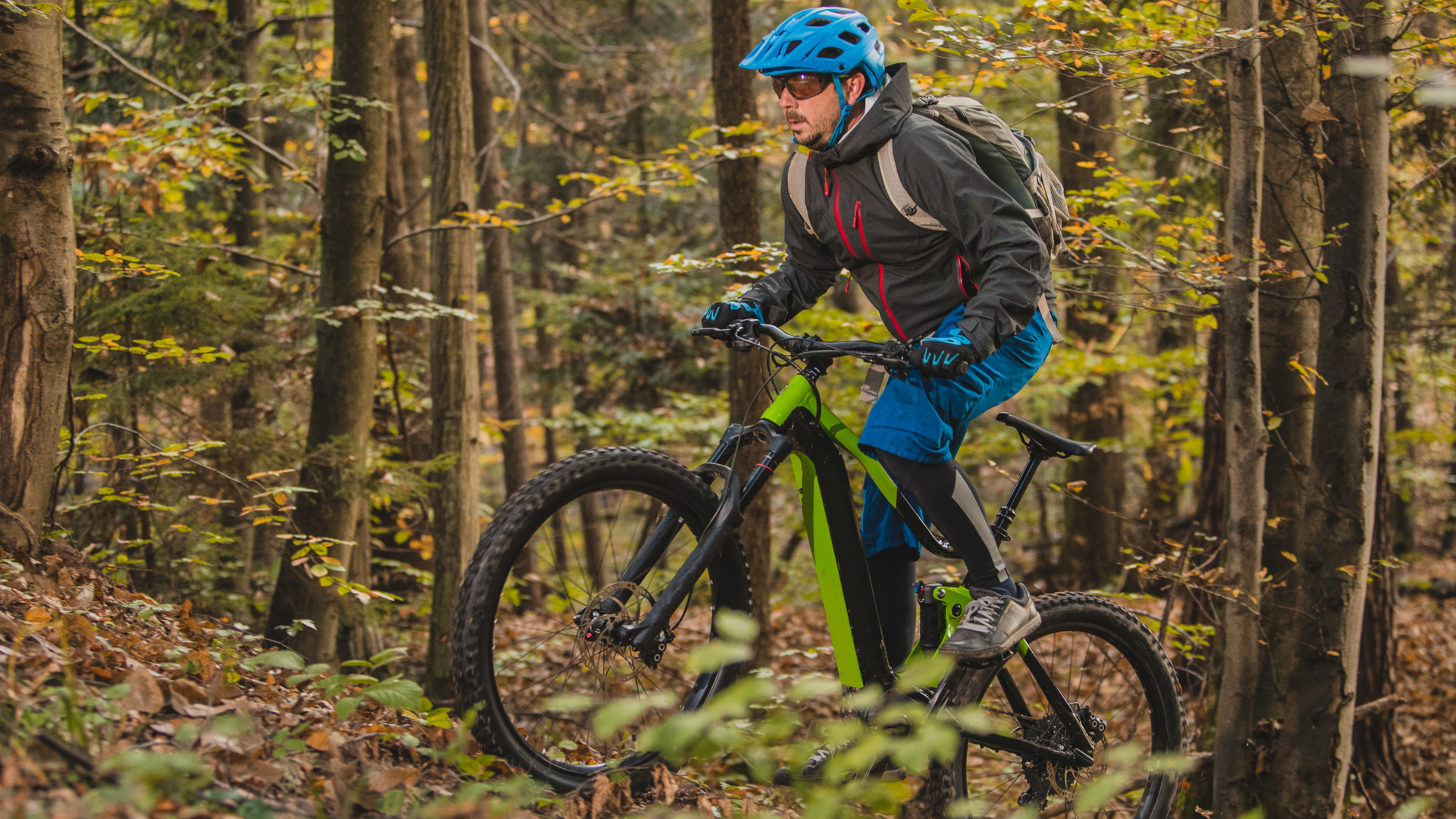 Vtt en forêt