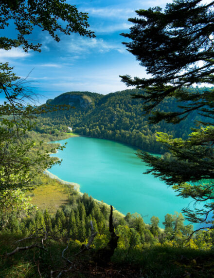 Lac Bonlieu dans le jura