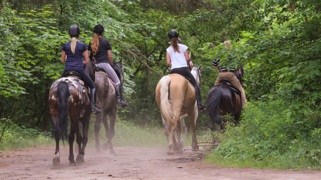 Randonnée à cheval