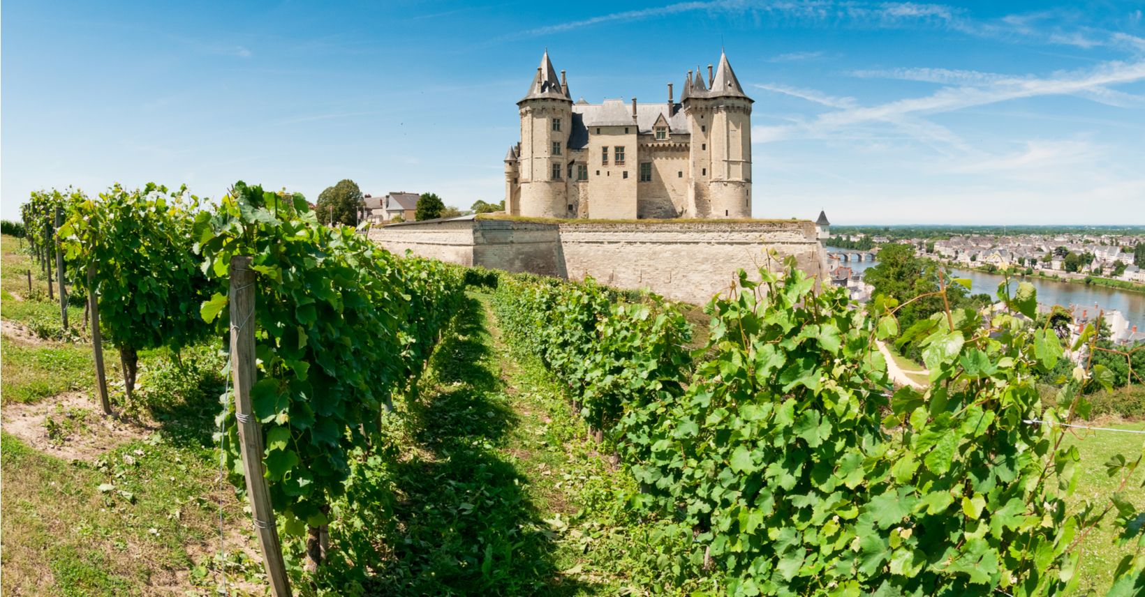 Loire Valley: discover the Welcome campsites from this destination