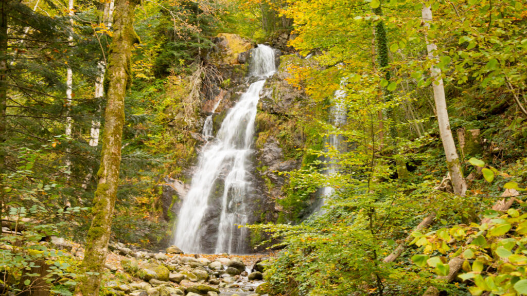 La cascade de Tendon