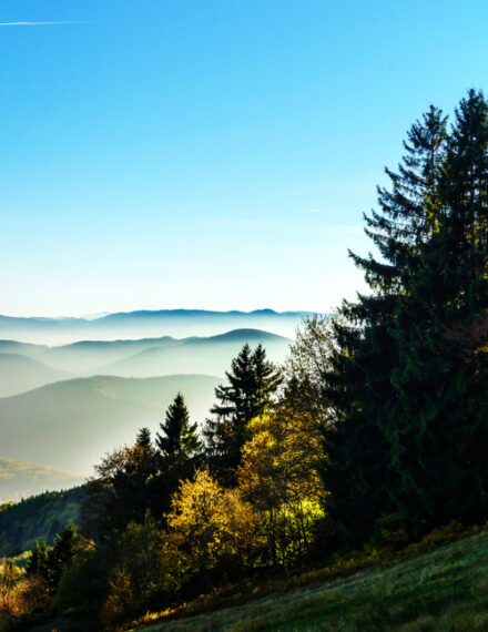 Les Vosges et ses ballons