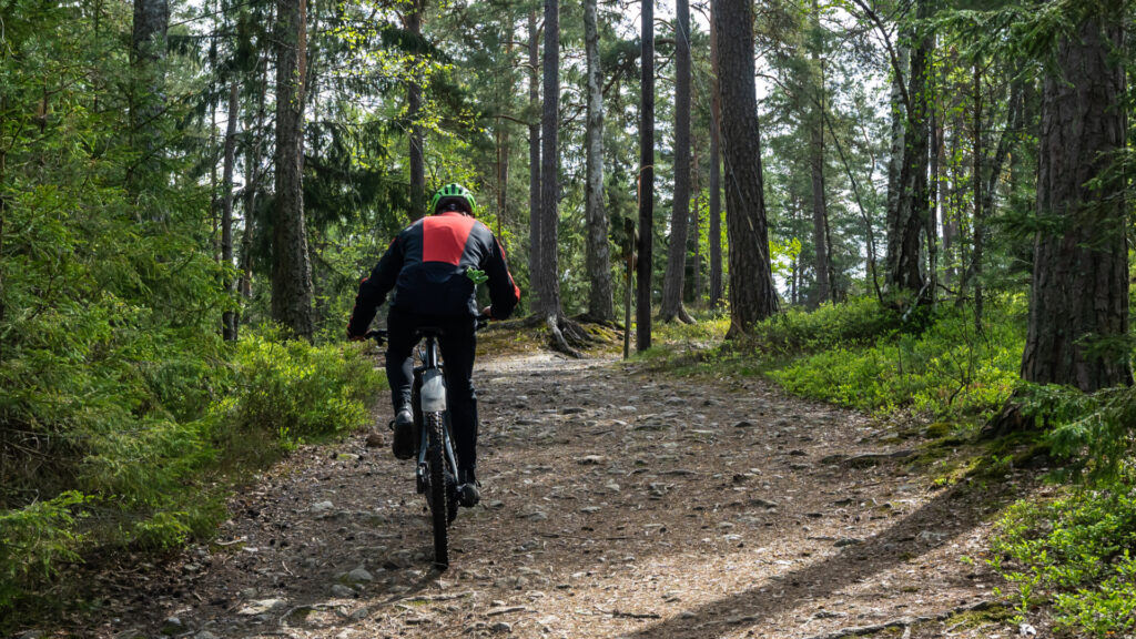 VTT en forêt