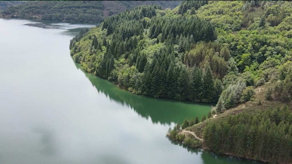 bordures du lac de Villefort