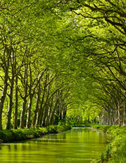 Canal du Midi