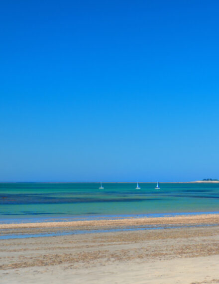 Voile à l'Île de Ré