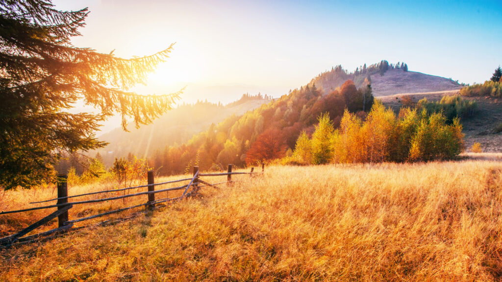 Douceur d'un paysage d'automne