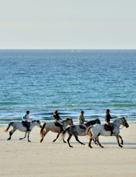 Promenade à cheval en Bretagne