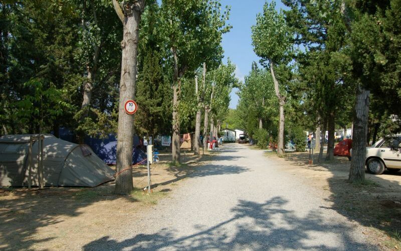 Emplacement du Camping Le Parc