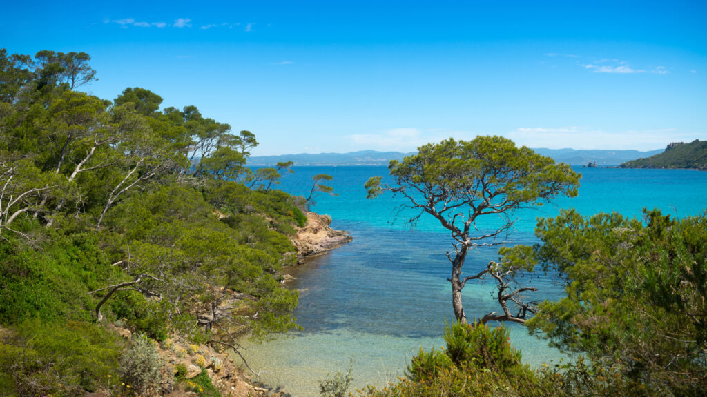 Porquerolles dans le Var