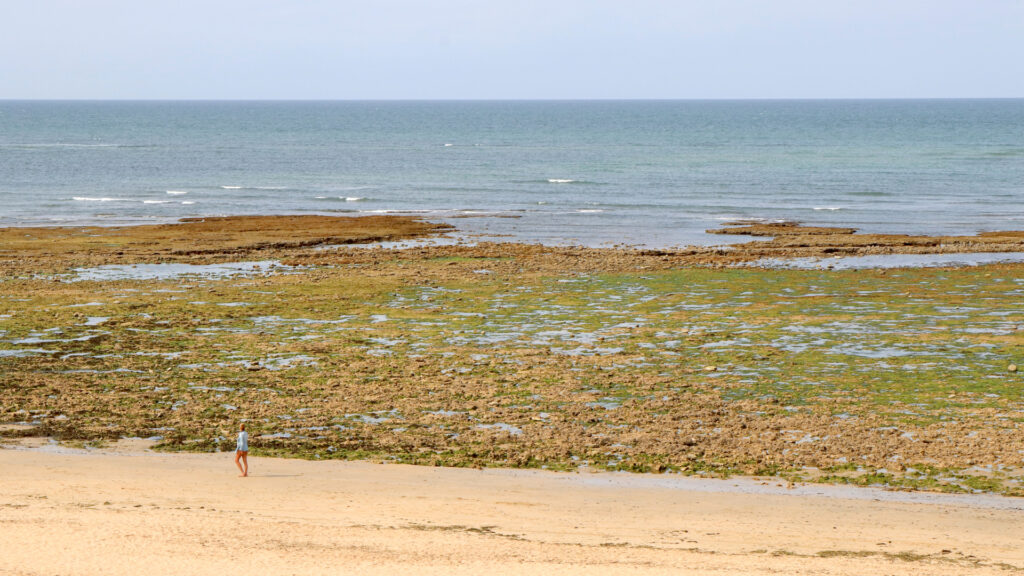 Vacances à Oléron