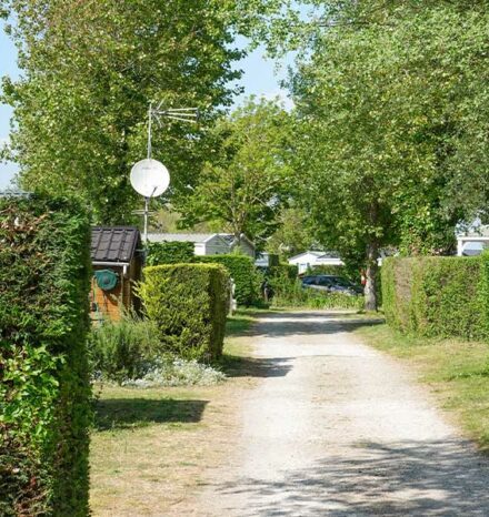 Allées du Camping les 3 Sablières