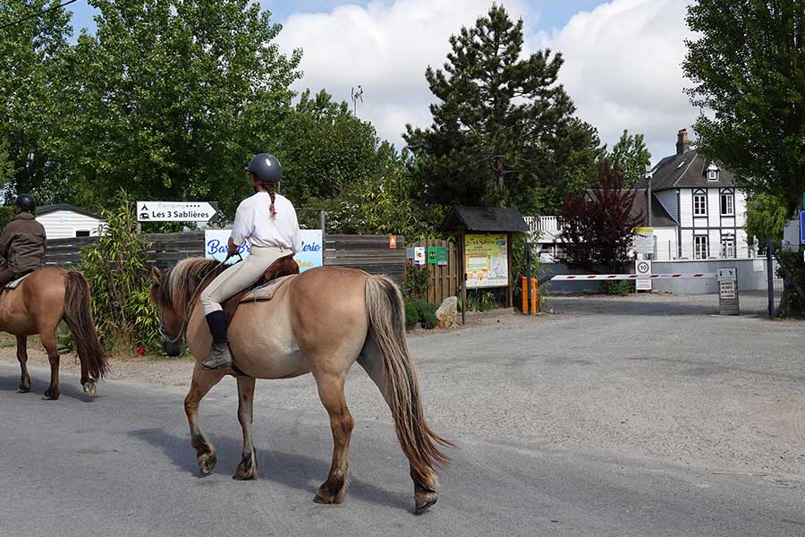 Equitation au Camping les 3 Sablières