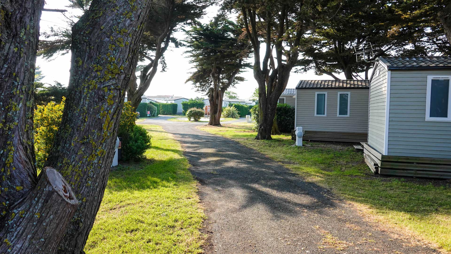 Allées Camping les Pérouses du Phare