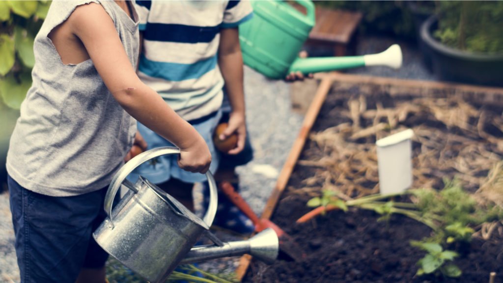 En famille au potager