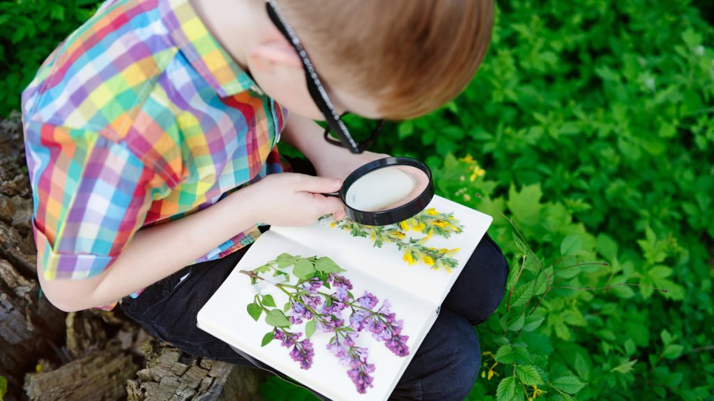 Jeune garçon et son herbier