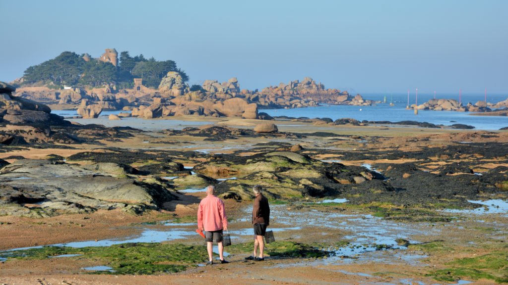 Pêche à pied en Bretagne