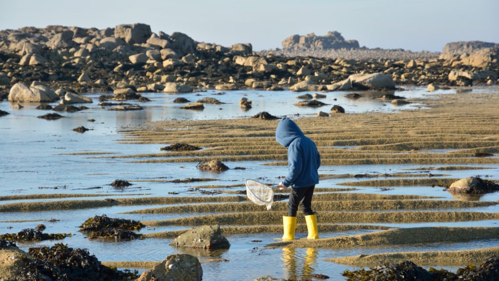 Pêche à pied pratiqué par un jeune garçon