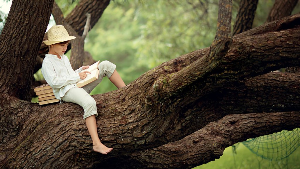 Lecture dans les arbres