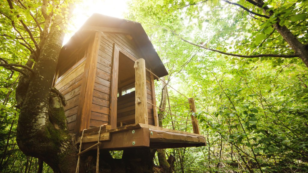 Cabane dans les arbres