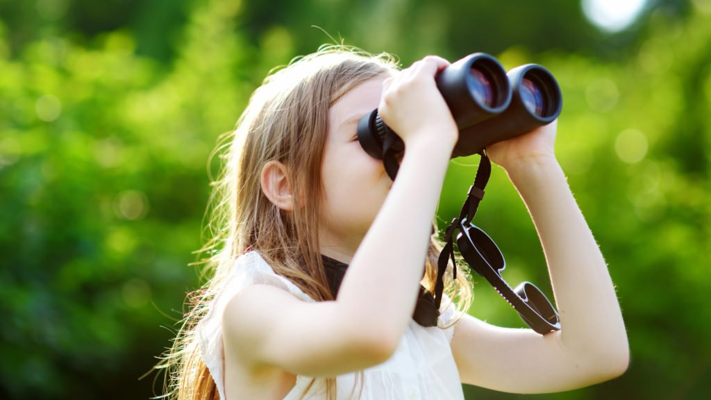 Observation de la faune et de la flore