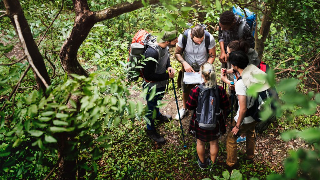 Promeneurs en forêt