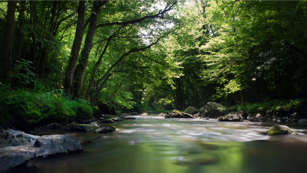 Rivière en Dordogne