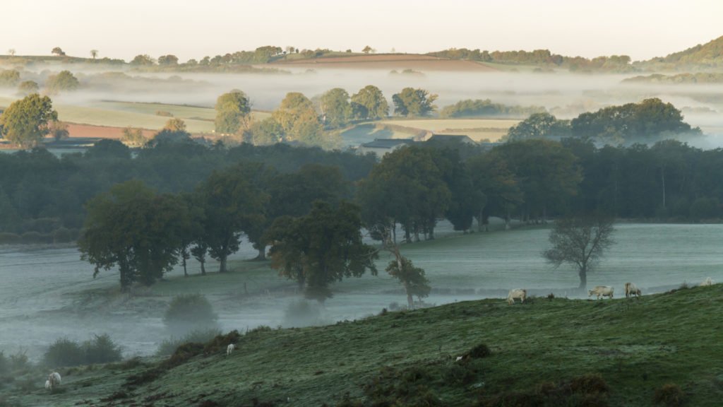 Brume sur le Morvan