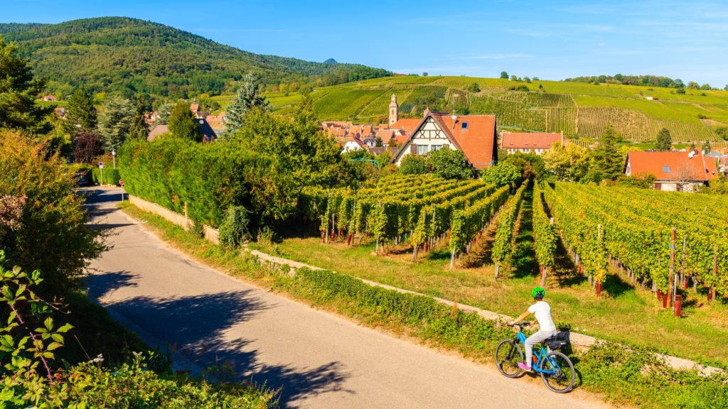 Promenade à travers les vignes