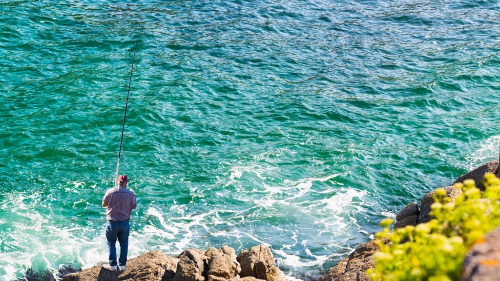 Pêcher depuis les enrochements