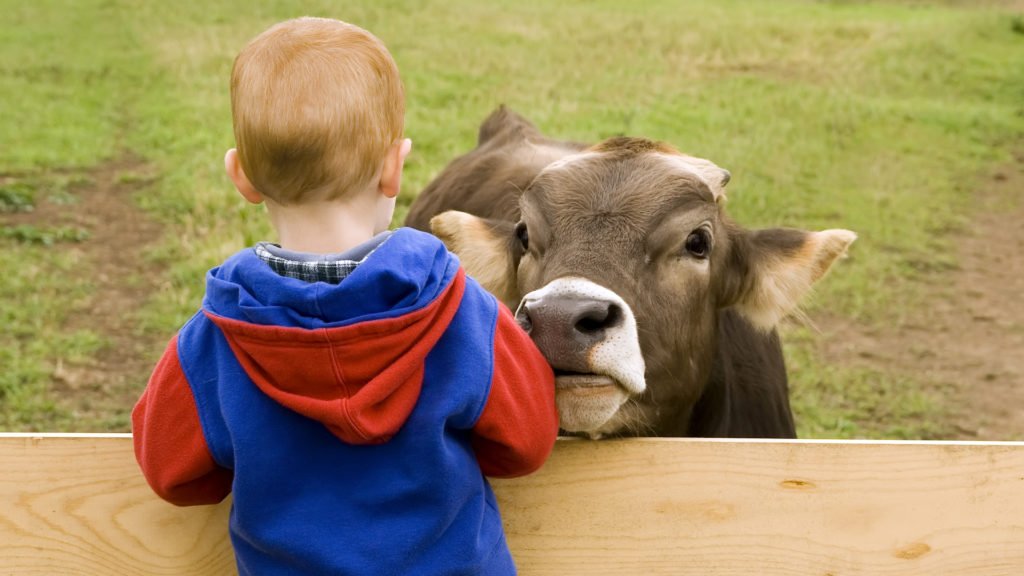 Jeune garçon avec les animaux de la ferme