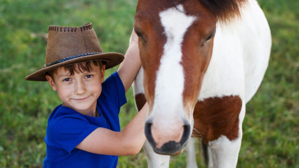 garçon et poney dans une ferme