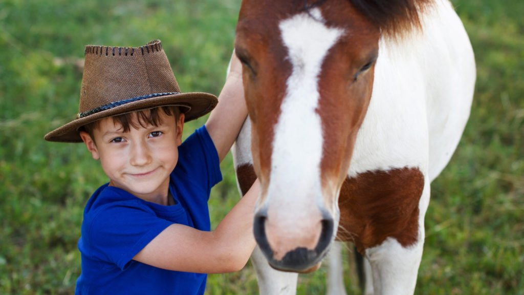 garçon et poney dans une ferme