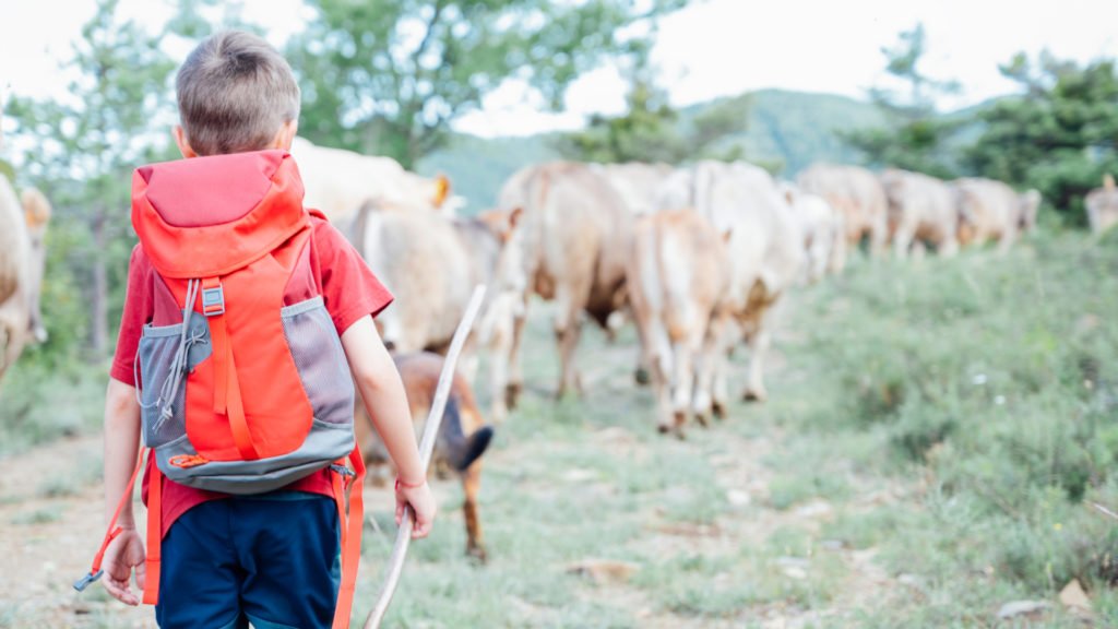 Transhumance en famille dans le Parc National des Pyrénées