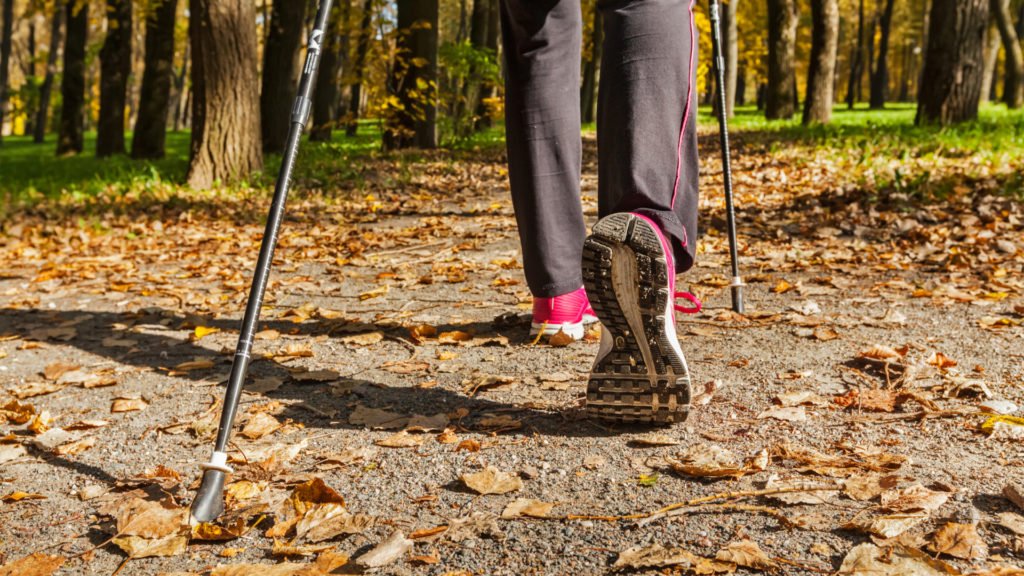 Marche nordique en automne