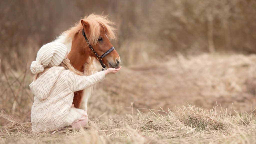 Poney et petite fille en automne