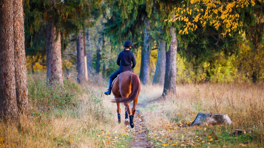 Adolescente partant dans la forêt à cheval