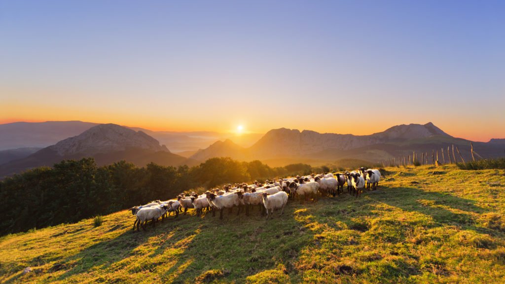 Montagnes et élevages du Pays Basque