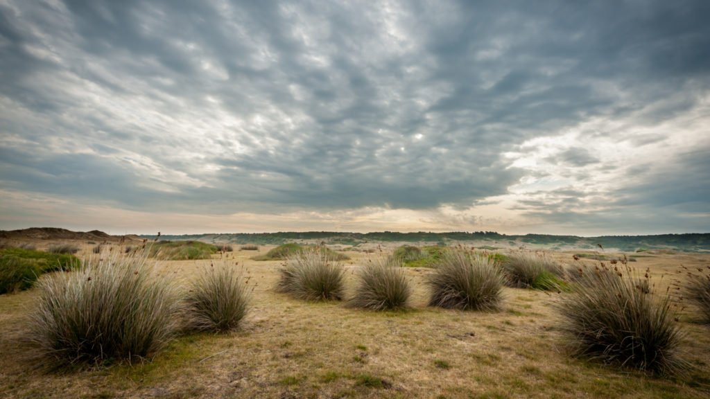 Dunes d'Hattainville