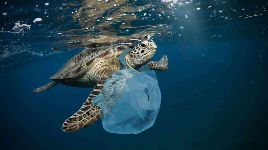 Déchets plastique