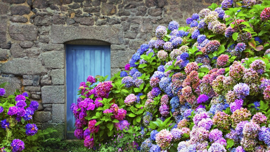 Maison en Bretagne